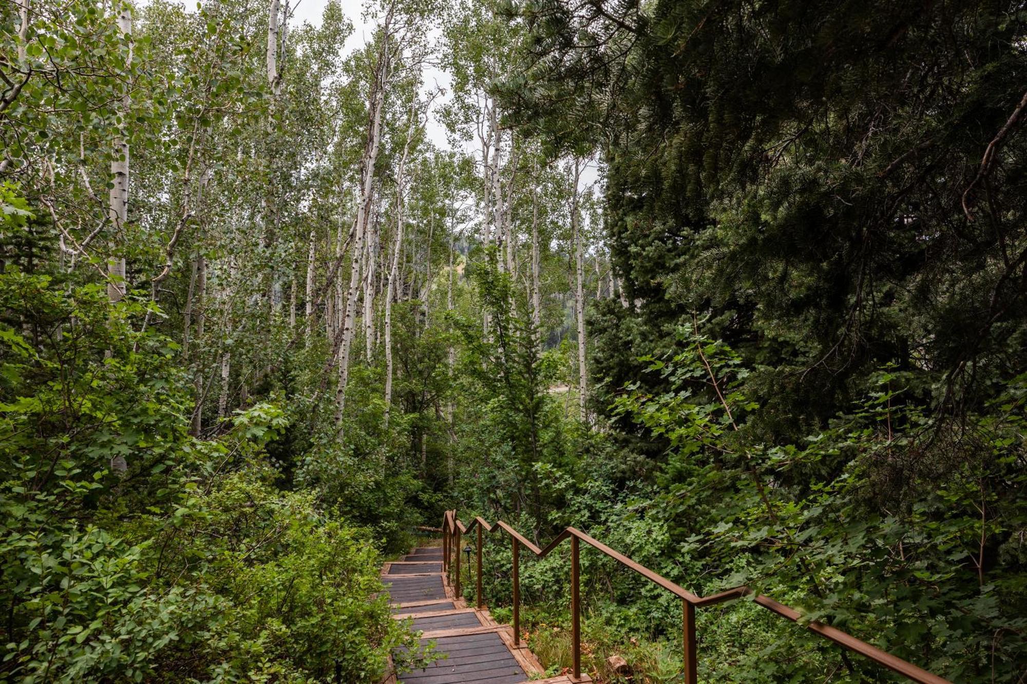 Deer Valley Little Belle Ultimate Ski Getaway, Sleeps 14, Luxury Design, Private Hot Tub, Park City Exteriör bild